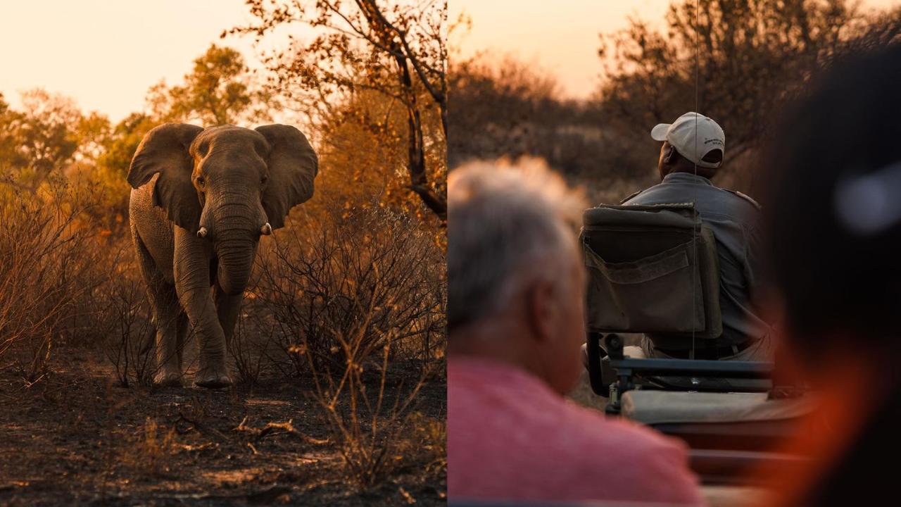 Geiger'S Camp In Timbavati Game Reserve By Newmark Zewnętrze zdjęcie