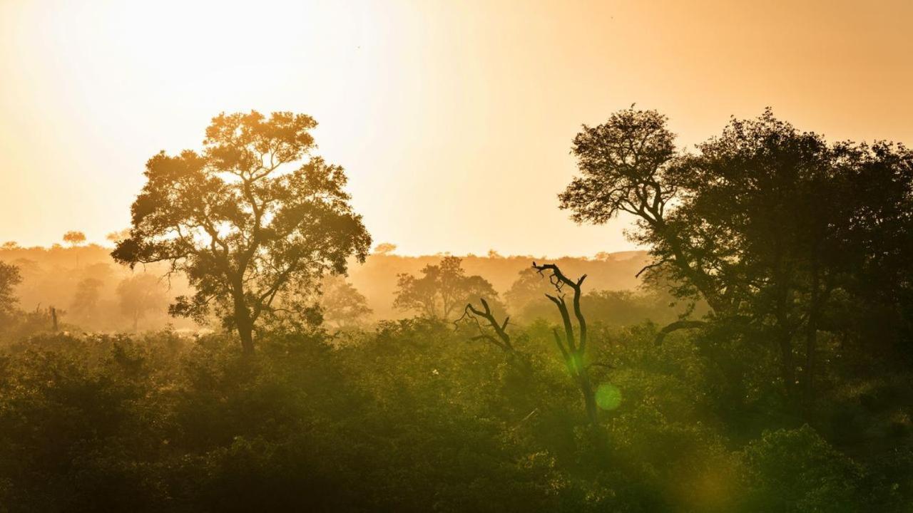 Geiger'S Camp In Timbavati Game Reserve By Newmark Zewnętrze zdjęcie